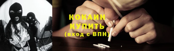 PSILOCYBIN Аркадак